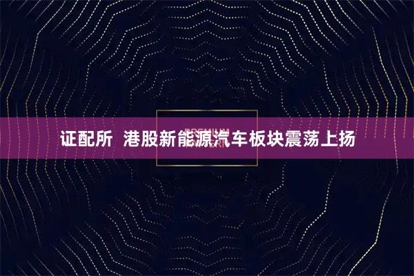 证配所  港股新能源汽车板块震荡上扬