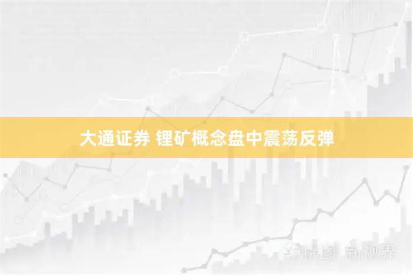 大通证券 锂矿概念盘中震荡反弹