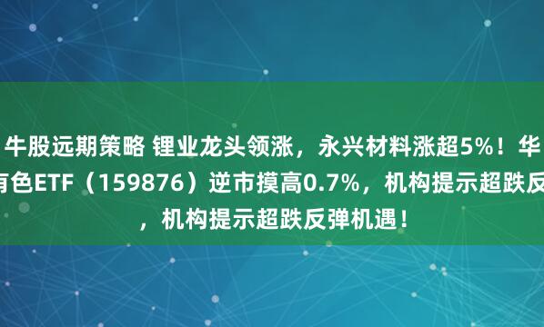 牛股远期策略 锂业龙头领涨，永兴材料涨超5%！华宝基金有色ETF（159876）逆市摸高0.7%，机构提示超跌反弹机遇！