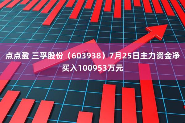 点点盈 三孚股份（603938）7月25日主力资金净买入100953万元