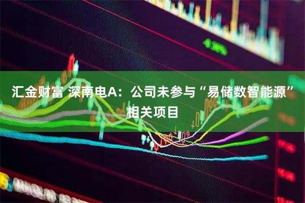 汇金财富 深南电A：公司未参与“易储数智能源”相关项目